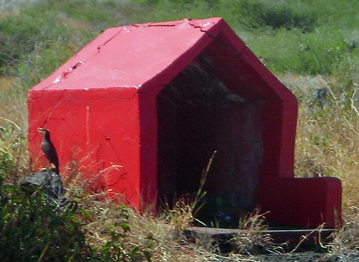 Un petit « autel » routier de la religion populaire à La Réunion avec, à côté, un martin, oiseau qui pullule dans l'île. Photo © Alain Gili.